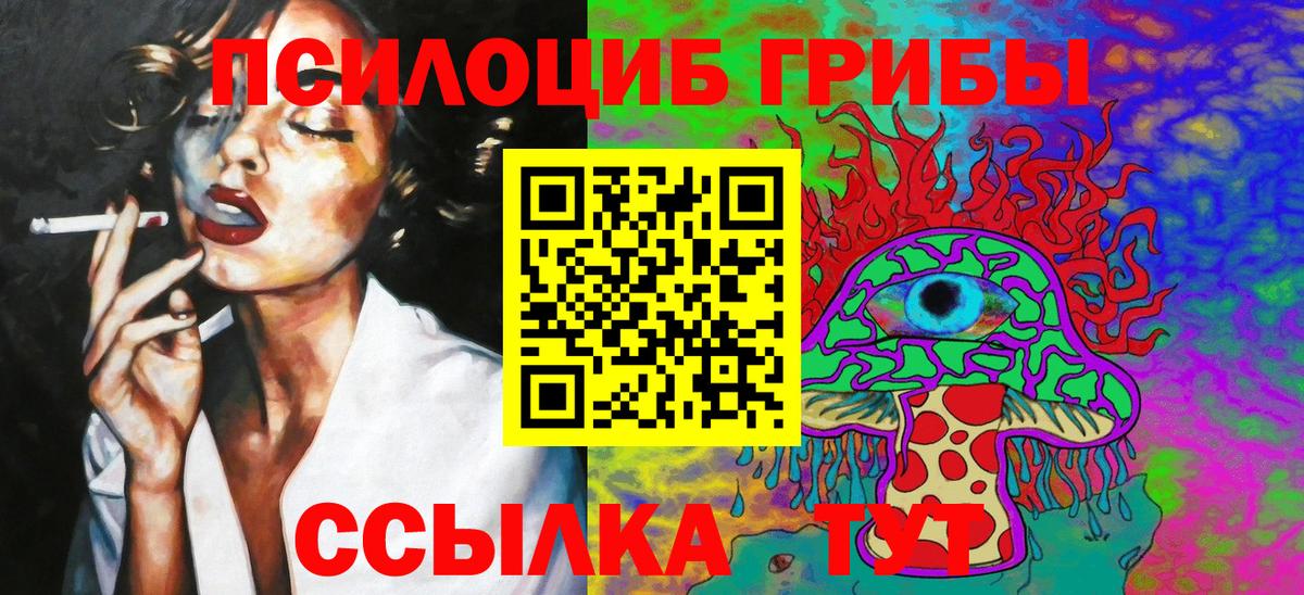 Семилуки  Галлюциногенные грибы Cubensis  Вход с VPN 