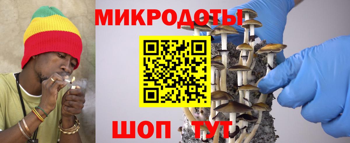 Псилоцибиновые грибы Psilocybine cubensis Семилуки