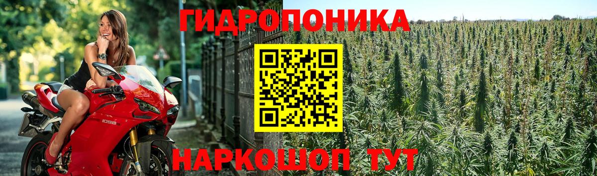 МАРИХУАНА THC 21% Семилуки